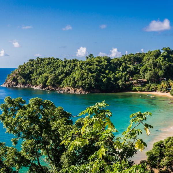 Destination Croisières Trinité-et-Tobago