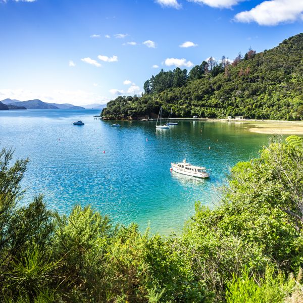 QUEEN_CHARLOTTE_SOUND–NOUVELLE_ZELANDE