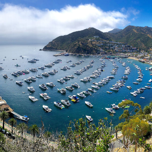 Destinations Croisières Île Santa Catalina